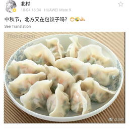 北方水饺设计方案[中国北方水饺馅有几种]