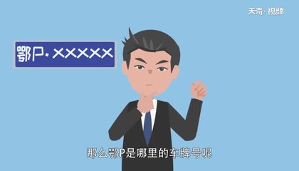 湖北车牌号字母代表,上海车牌号字母代表