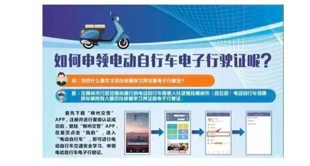 电动车车牌号查询app,车辆管理系统官网