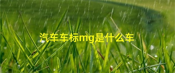 车标mg是什么车,名爵属于什么档次的