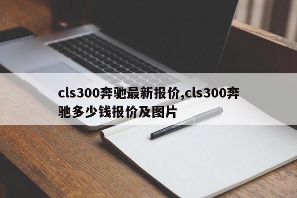 cls300奔驰最新报价,cls300奔驰多少钱报价及图片