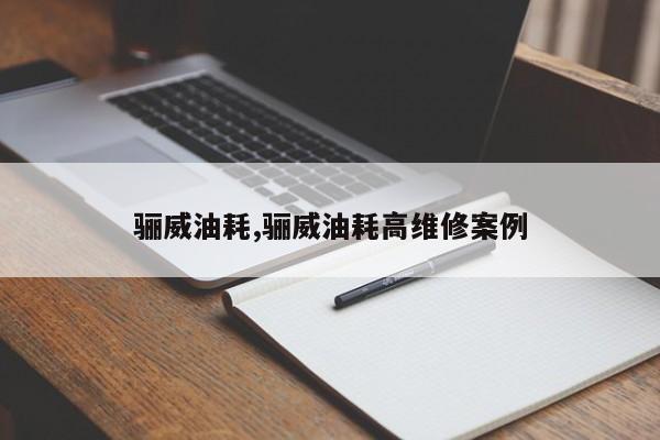 骊威油耗,骊威油耗高维修案例